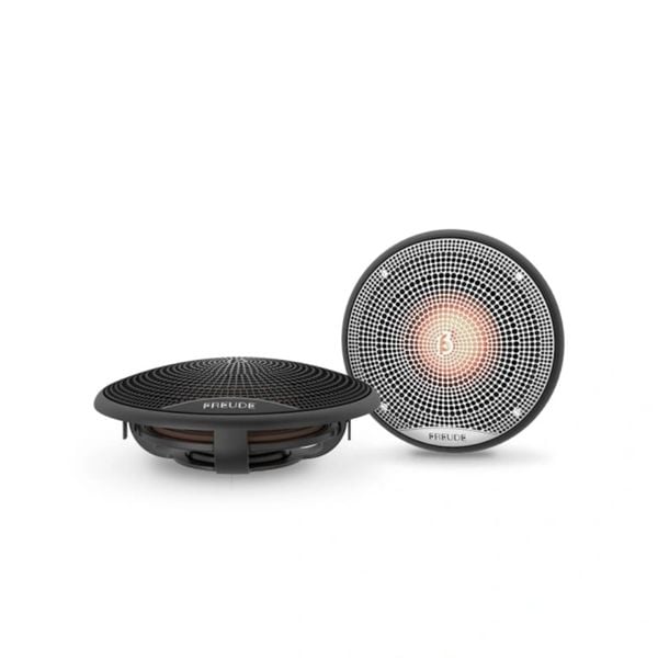 Loa Plug and Play Freude FDS-100