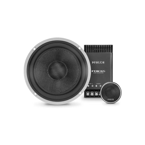 Loa Plug and Play Freude FDK-165