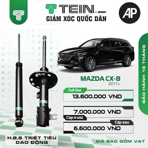 Giảm xóc ô tô Tein Basic MAZDA CX-8 (2018+)