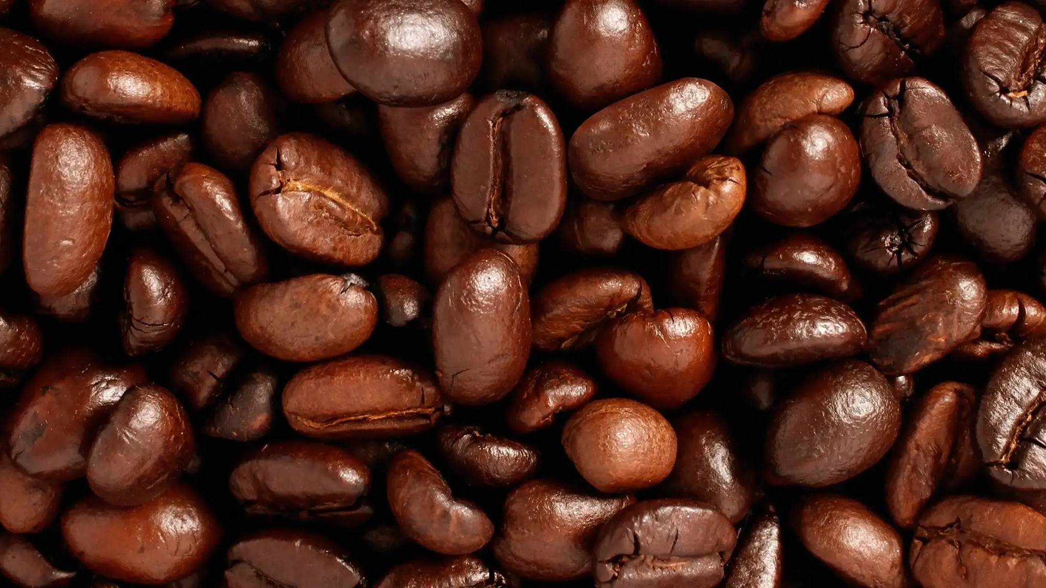 Cảm hứng mùi hương Coffee của Areon Fresco Coffee – ảnh chính hãng Areon
