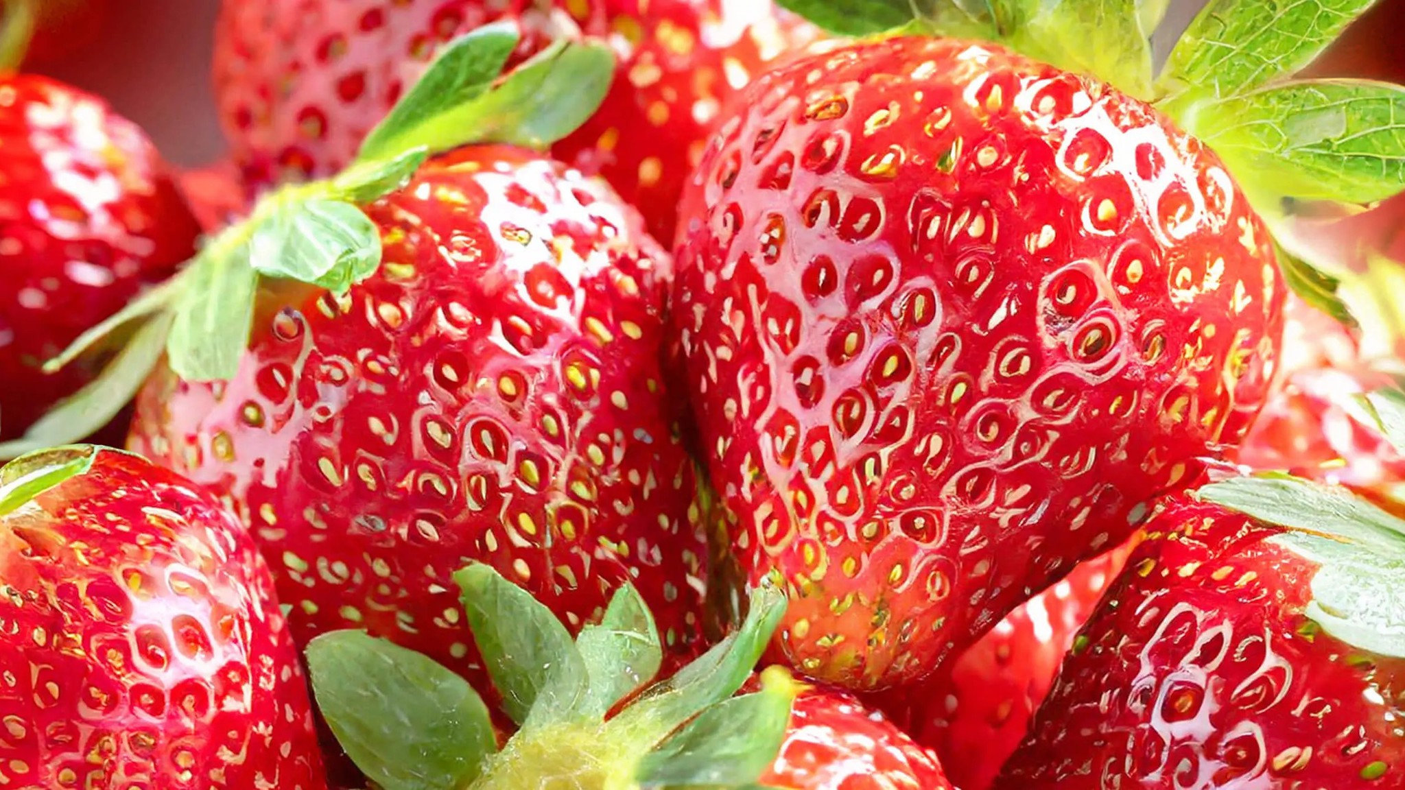 Cảm hứng mùi hương Strawberry của Areon Fresco Strawberry – ảnh chính hãng Areon