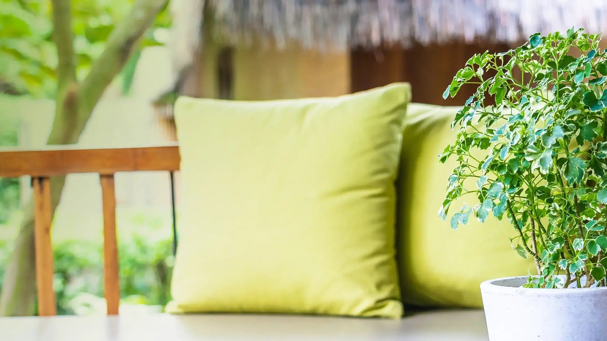 Cảm hứng mùi hương Sunny Home của Areon Home Sunny Home – ảnh chính hãng Areon