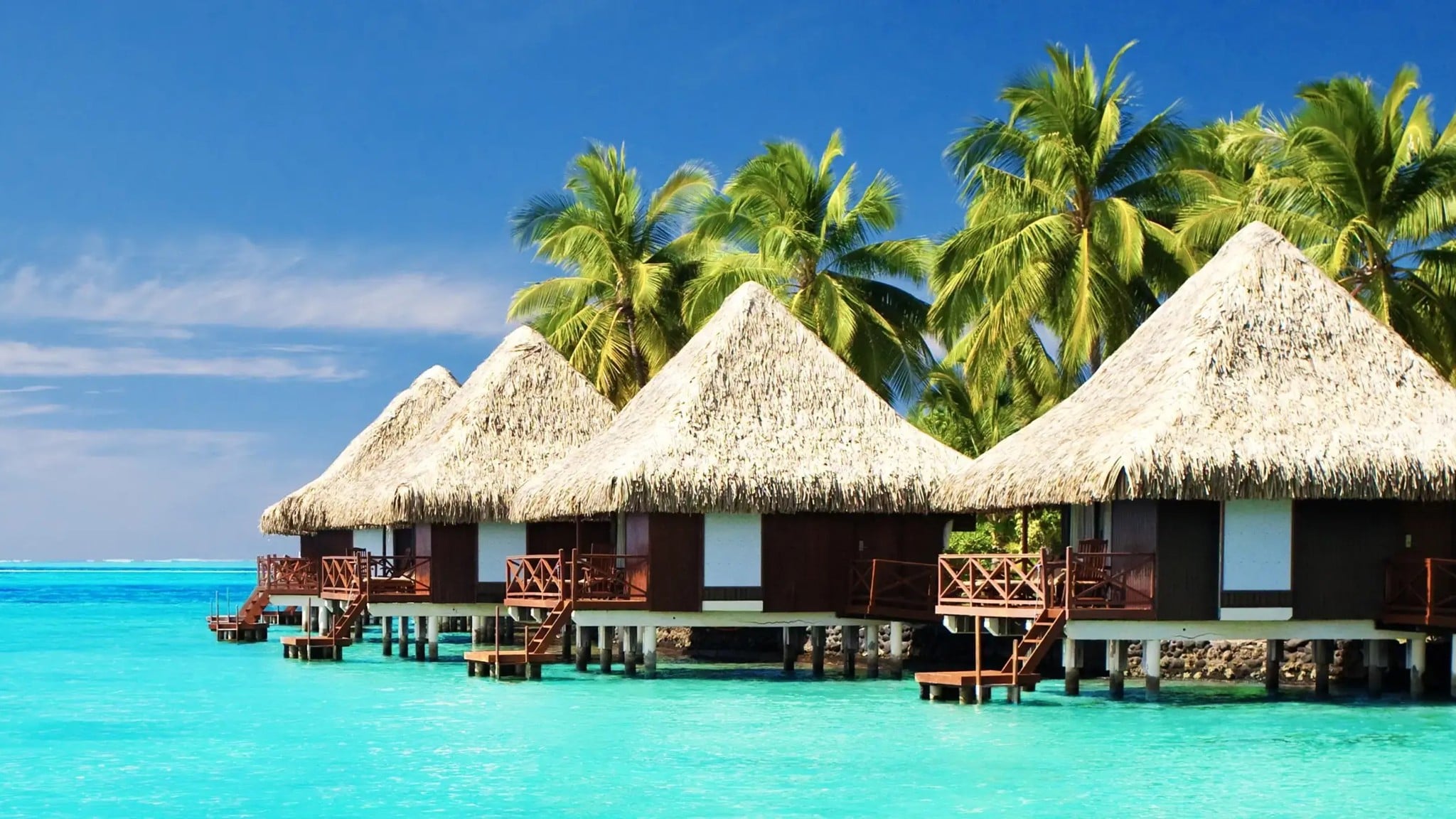 Lá Thơm Ô Tô Areon Jeans Summer Dream Hương Xoài Quýt