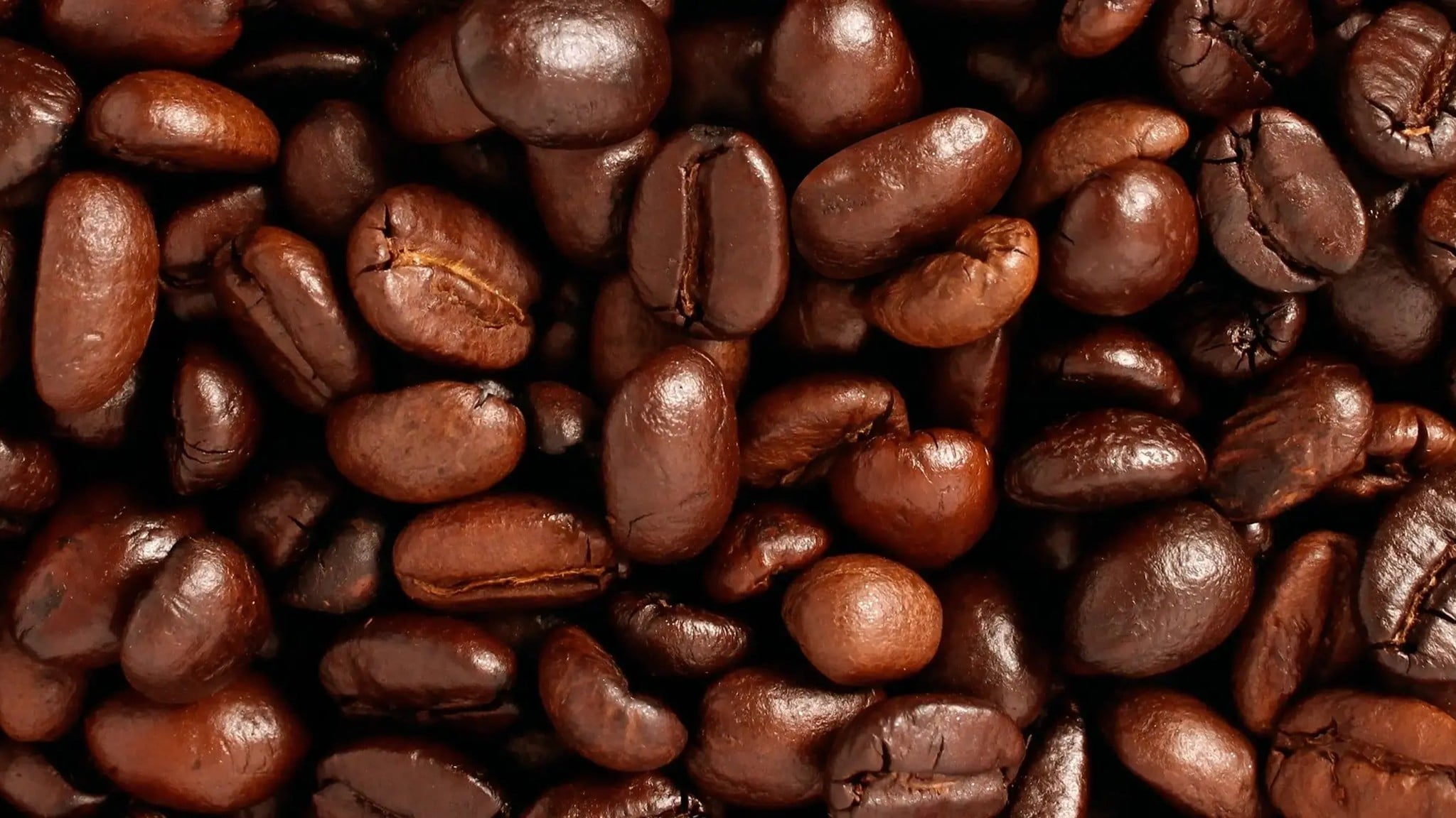 Lá Thơm Ô Tô Areon Quality Perfume Coffee Hương Cà Phê