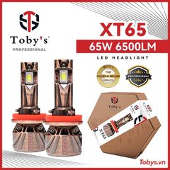 Bóng led tăng sáng Toby’s