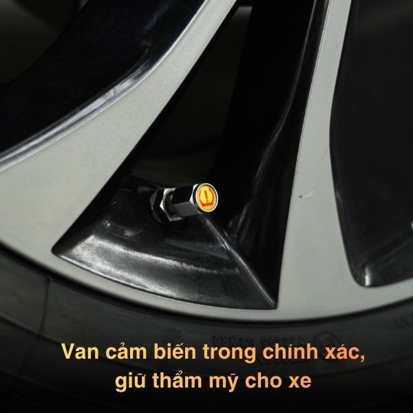 Cảm biến áp suất lốp ICAR Ellisafe J43