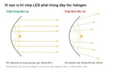 Bóng LED Ô Tô GPNE R4 55W 6000K Trắng