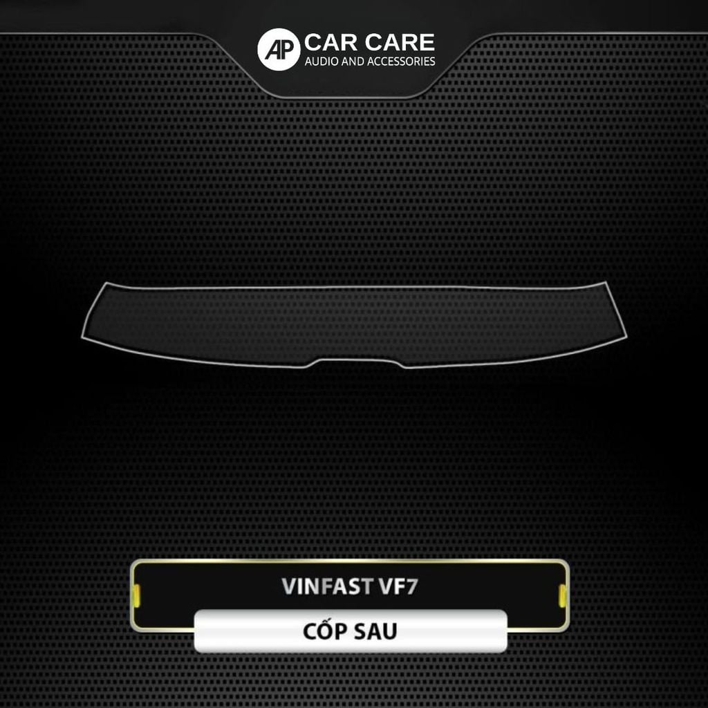 Dán PPF nội thất ô tô VINFAST