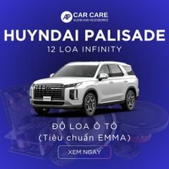 Độ loa ô tô Huyndai Palisade (12 loa)