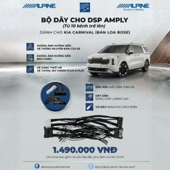 Dây lấy tín hiệu vào DSP theo xe  Kia Carnival BOSE 12 loa