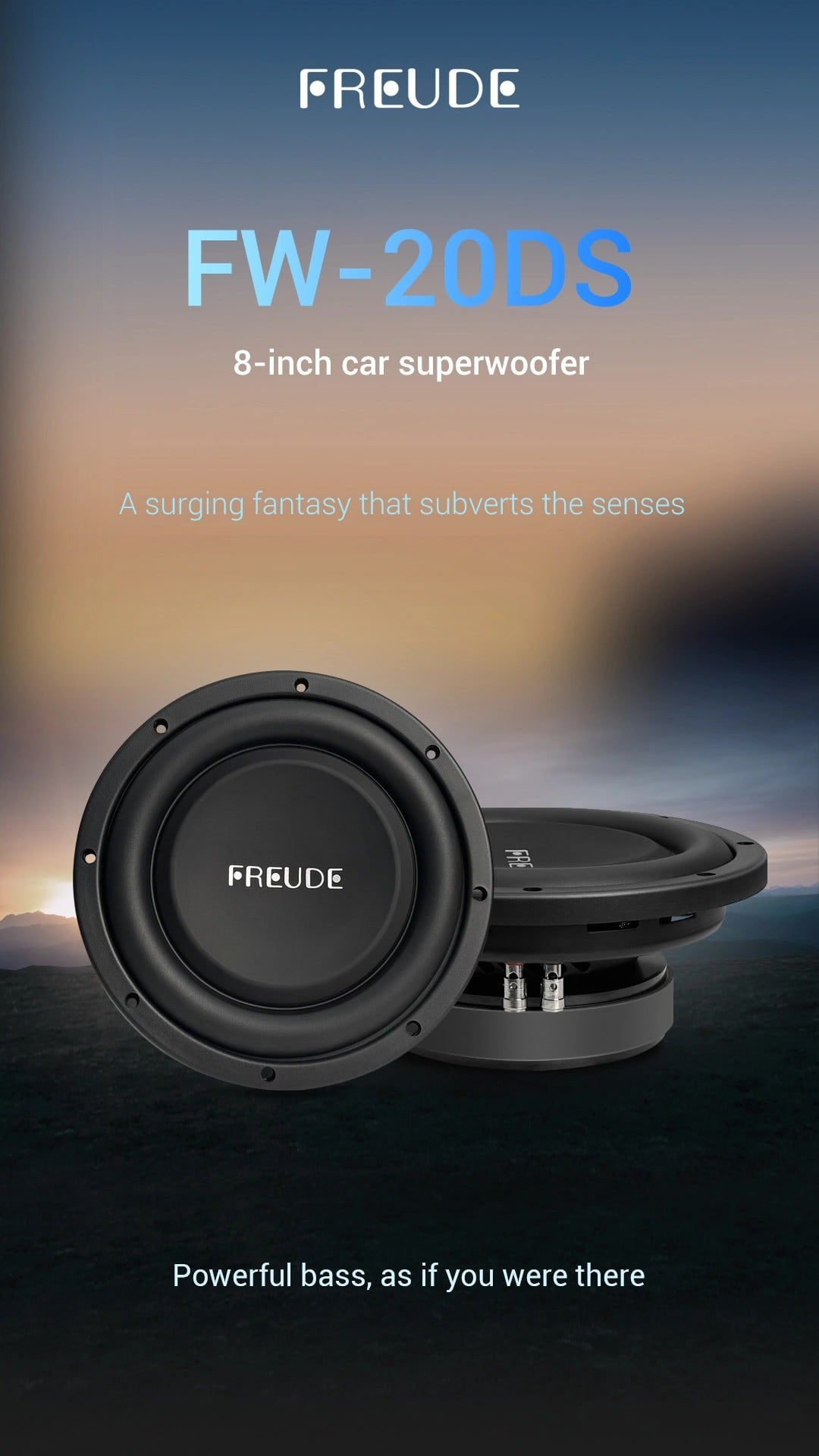 Ảnh giới thiệu củ sub 8 inch Freude FW-20DS
