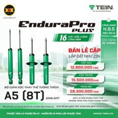 Giảm Xóc Ô Tô Audi A5 8T 2008-2017 Tein EnduraPro Plus