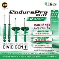 Giảm Xóc Ô Tô Honda Civic 2022+ Tein EnduraPro Plus