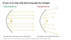 Bóng LED Ô Tô NAOEVO S6 Pro Chân H4 55W 5800K