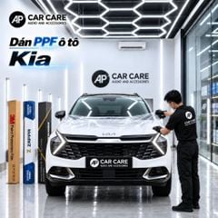 Dán PPF xe Kia (Seltos / Morning / Sedona / Carnival)