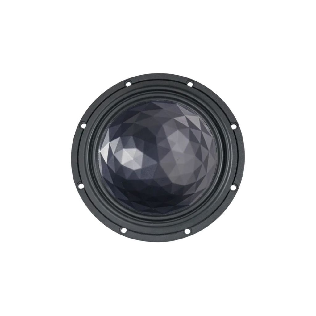 Loa cánh ô tô Rainbow Profi line Woofer PL-W6C