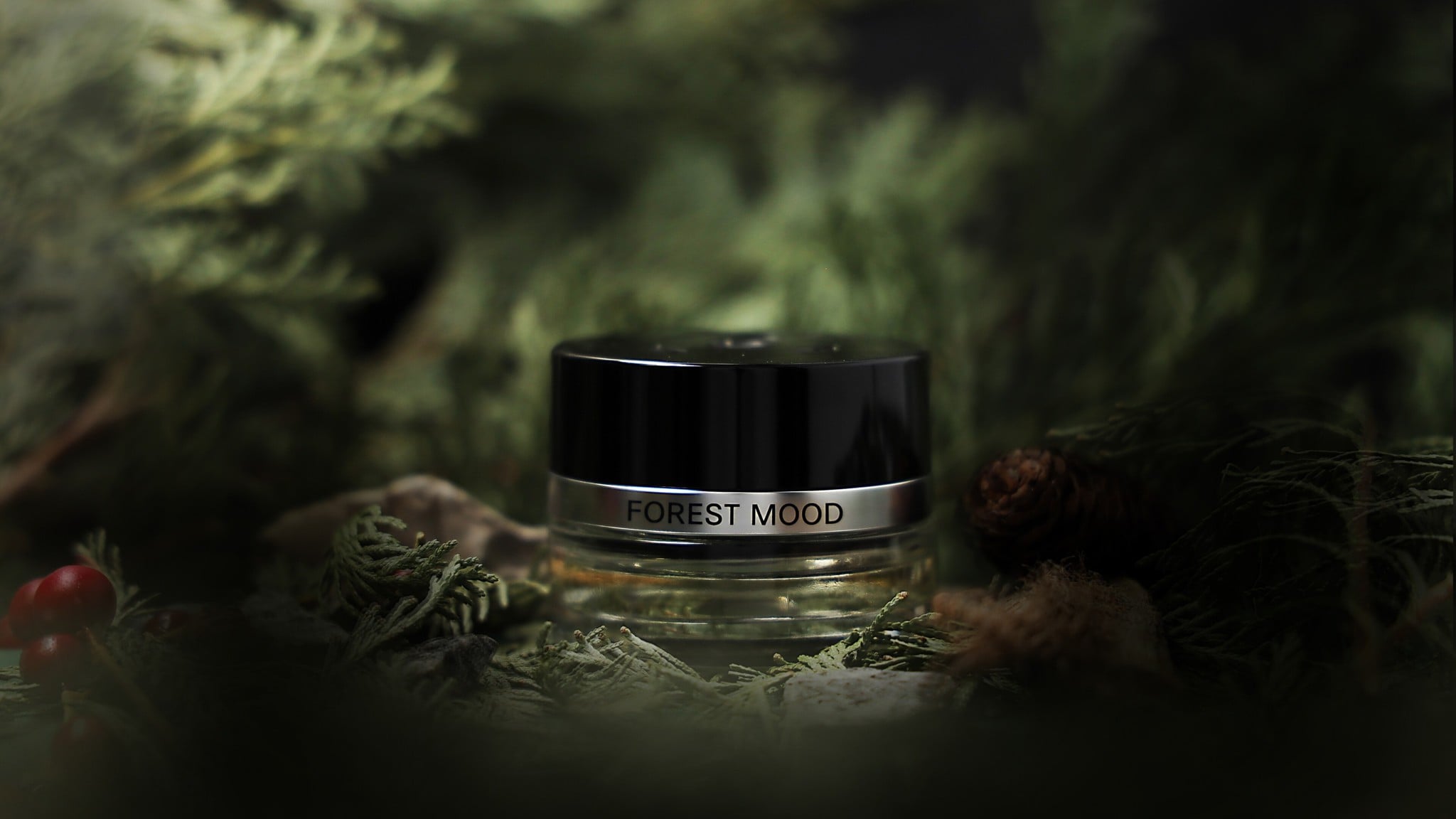 Ảnh cảm hứng Forest Mood – ảnh chính hãng Mercedes-Benz