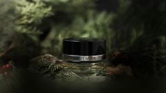 Nước hoa Mercedes Benz Chính hãng - Forest Mood