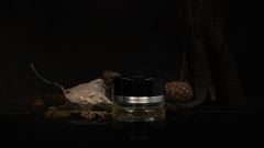 Nước hoa Mercedes Benz Chính hãng - Agarwood