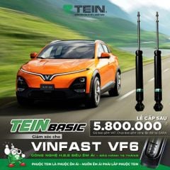 Giảm xóc ô tô Tein Vinfast VF6