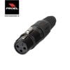Giắc Canon PROEL XLR3FVBK (đầu cái - màu đen)
