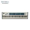 Đàn Piano DEXIBELL VIVO S10