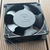 DP12038A