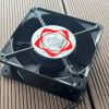 DP12038A