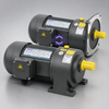 Motor điện giảm tốc GLH22-400-10 chân đế 400W chính hãng