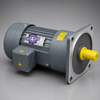 Motor điện giảm tốc GLV28-750-10 mặt bích 0.75KW chính hãng
