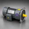 Motor điện giảm tốc GLV28-750-10 mặt bích 0.75KW chính hãng