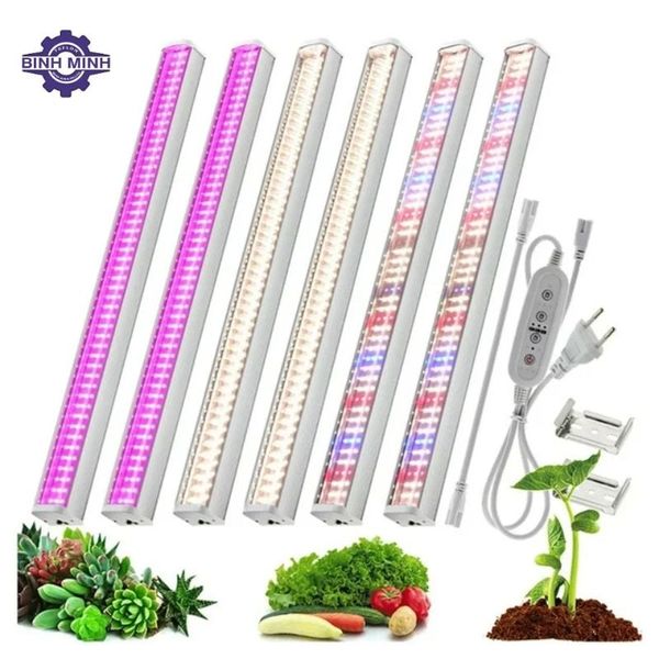 ĐÈN LED UV RGG525-1