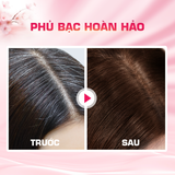  Combo 2 Thuốc Nhuộm Tóc Phủ Bạc Tại Nhà Bigen Silk Touch - Phủ Bạc Thảo Dược, Màu Thời Trang, Dưỡng Tóc Mềm Mượt 