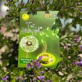  Trà bồ công anh đặc biệt 