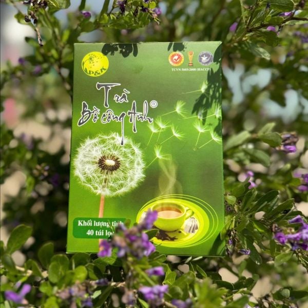  Trà bồ công anh đặc biệt 