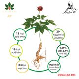  Sâm ngọc linh 190gr(Củ/ngâm mật ong rừng/ngâm tửu) 
