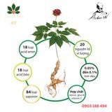 Sâm ngọc linh 75gr(Củ/ngâm mật ong rừng/ngâm tửu) 