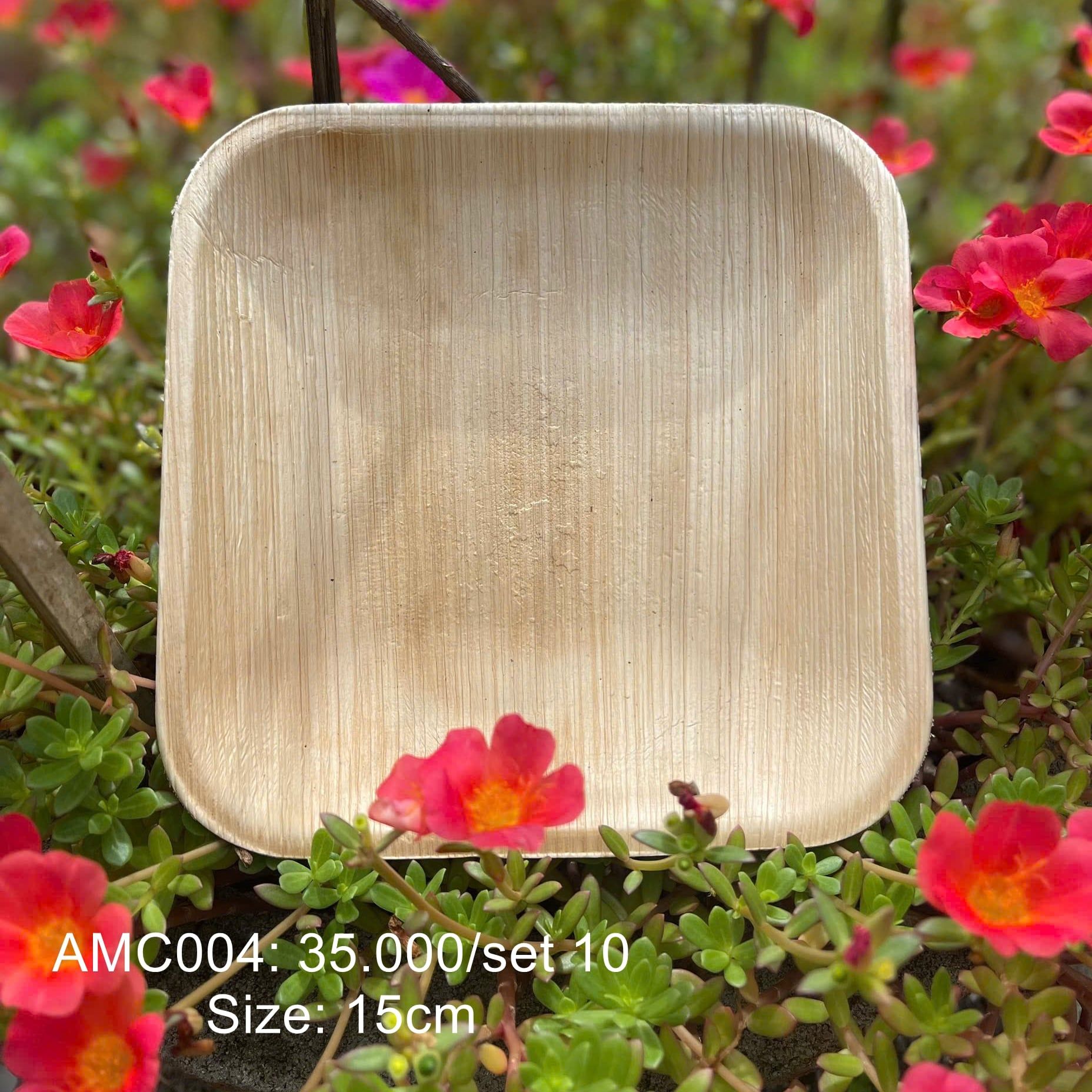  Bộ 10 đĩa vuông 15cm 