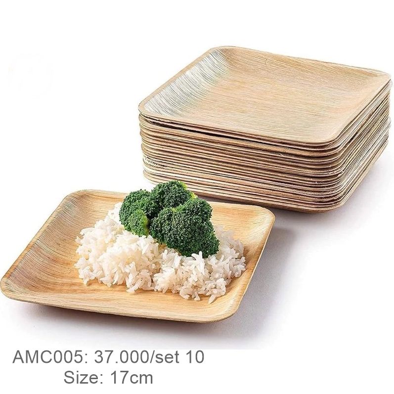  Bộ 10 đĩa vuông 17cm 