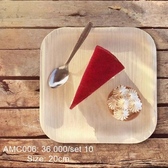  Bộ 10 đĩa vuông cạn 20cm 