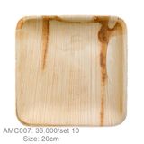  Bộ 10 đĩa vuông sâu 20cm 