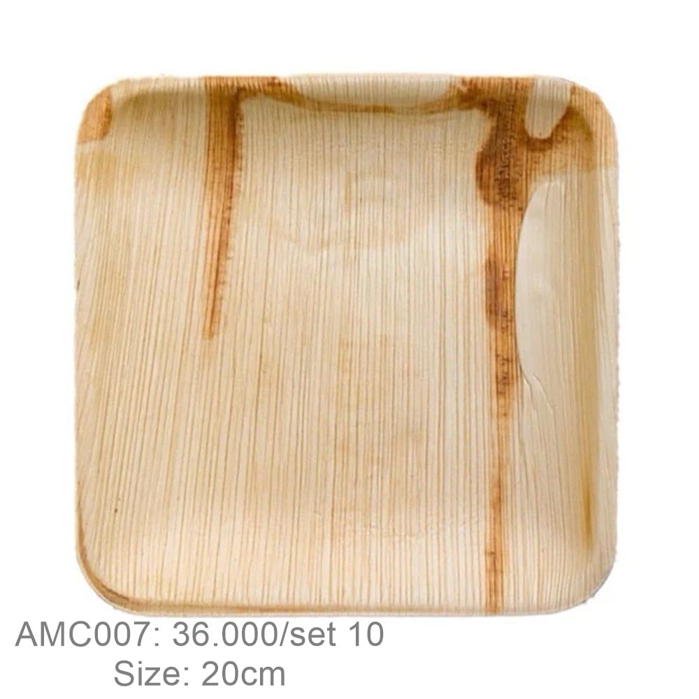  Bộ 10 đĩa vuông sâu 20cm 