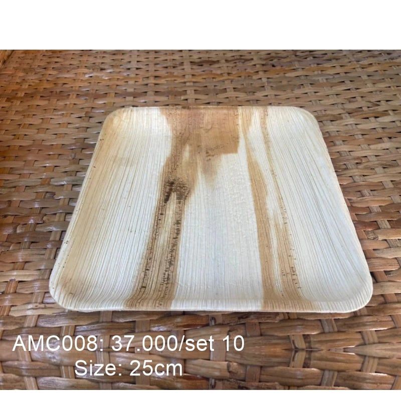  Bộ 10 đĩa vuông 25cm 