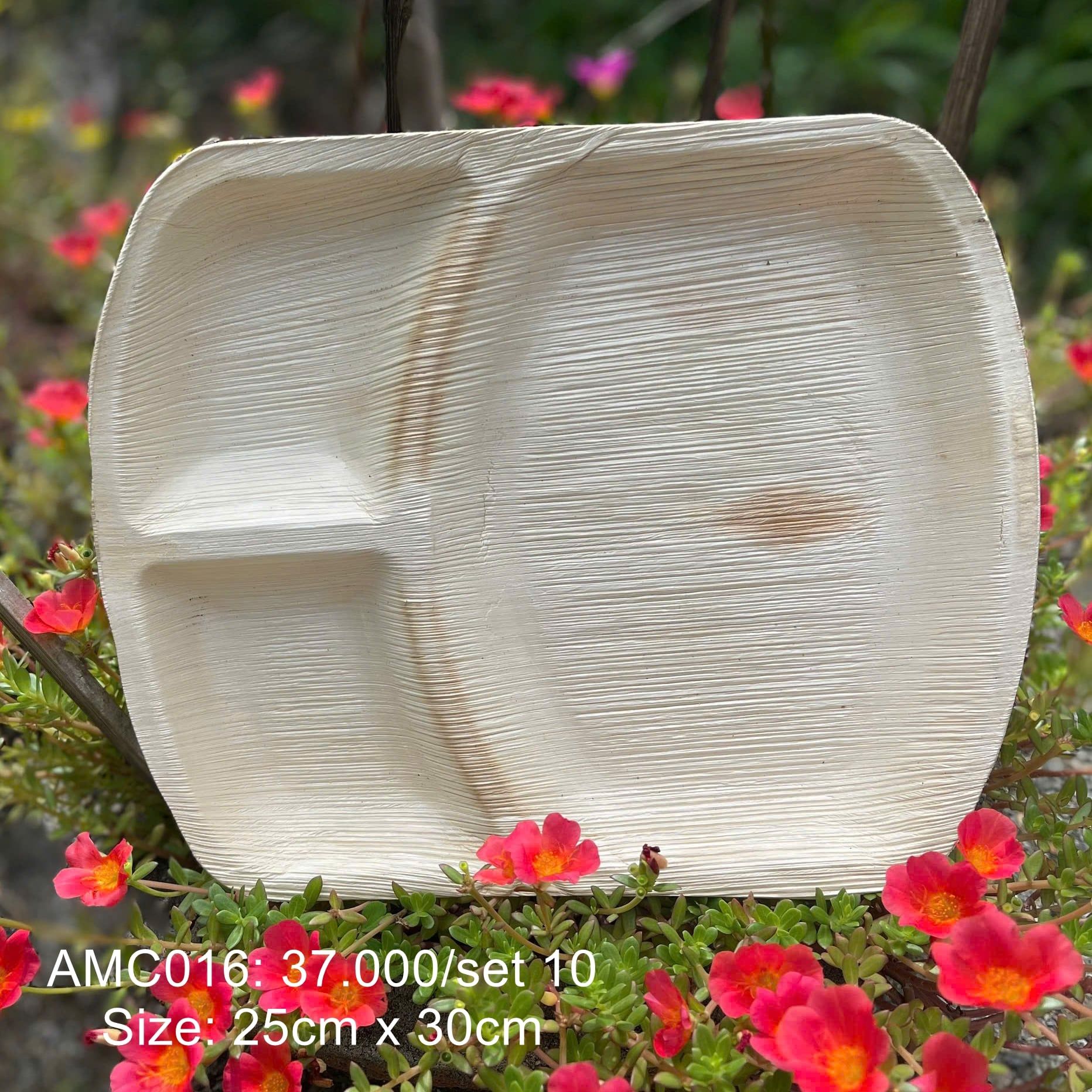  Bộ 10 đĩa 3 ngăn 25cmx30cm 