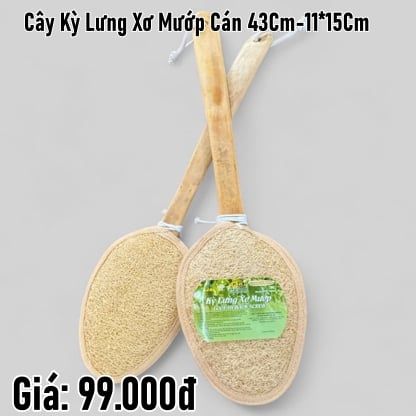  Cây kỳ lưng xơ mướp cán 43cm - 11x15cm 