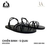  CHIẾN BINH - 5 QUAI 