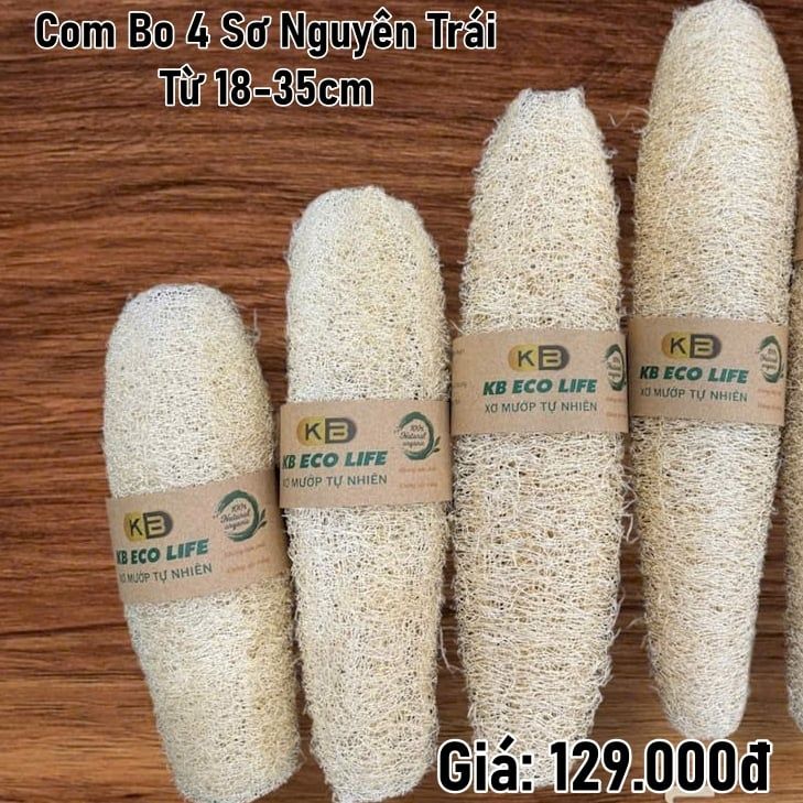  Com Bo 4 Sơ Nguyên Trái Từ 18-35cm 