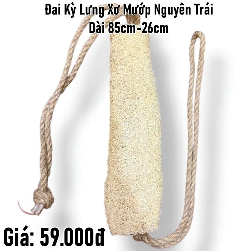  Đai kỳ lưng xơ mướp nguyên trái dài 85cm - 26cm 