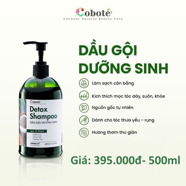  Dầu gội dưỡng sinh Cobote 480ml 