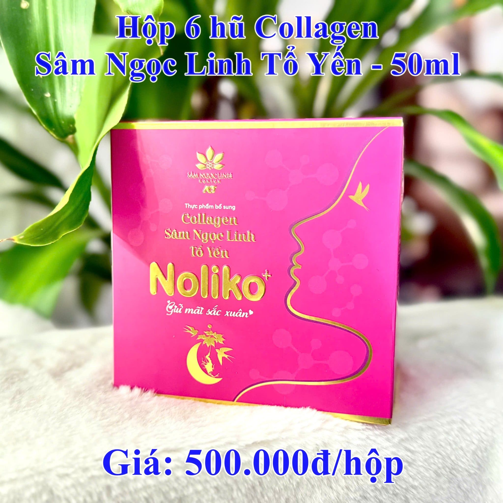  Hộp 6 hũ Collagen Sâm Ngọc Linh Tổ Yến - 50ml 